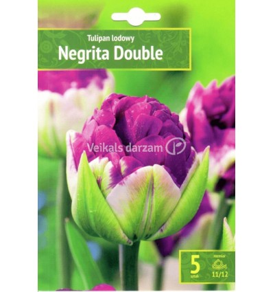 TULPES NEGRITA DOUBLE