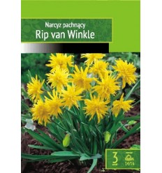 NARCISES RIP VAN WINKLE