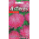 ASTERES LADY CORAL BRILLIANT ROSE