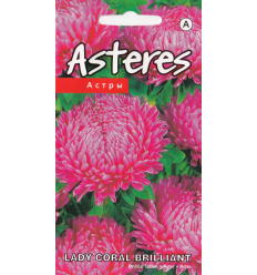 ASTERES LADY CORAL BRILLIANT ROSE