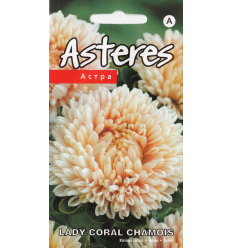 ASTERES LADY CORAL CHAMOIS