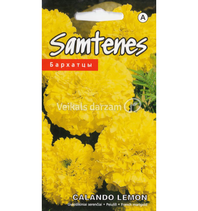 SAMTENES CALANDO LEMON