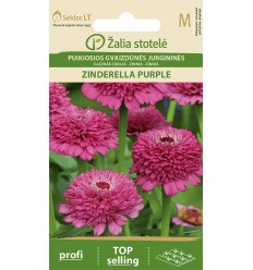 CINNIJAS GLEZNĀS ZINDERELLA PURPLE