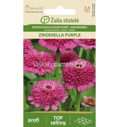 CINNIJAS GLEZNĀS ZINDERELLA PURPLE