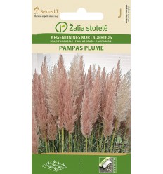 PAMPU ZĀLE PAMPAS PLUME PINK