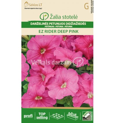 PETŪNIJAS DĀRZA LIELZIEDES EZ RIDER DEEP PINK