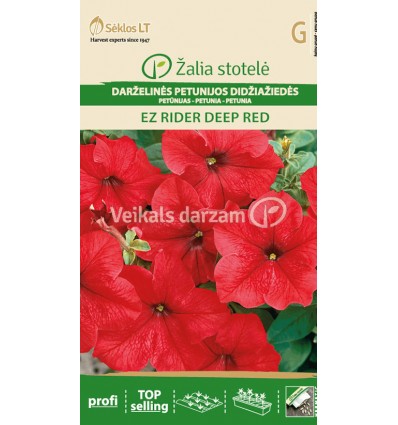 PETŪNIJAS DĀRZA LIELZIEDES EZ RIDER DEEP RED