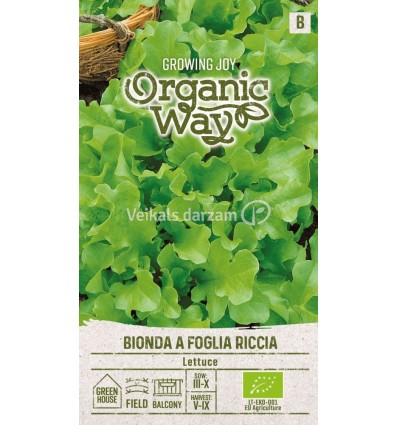 DĀRZA SALĀTI ORGANIC WAY BIONDA A FOGLIA RICCIA