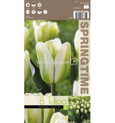 TULPES GREEN SPIRIT