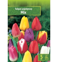 TULPES MIX