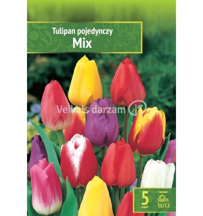 TULPES MIX