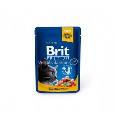 BRIT PREMIUM SALMON&TROUT 100G KAĶIEM