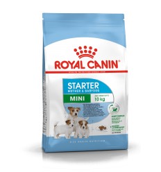 ROYAL CANIN SHN 1,0KG MINI STARTER PUPPY KUCĒNIEM