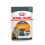 ROYAL CANIN FCN WET 85Gx12 INTENSE BEATY IN GRAVY KAĶIEM