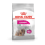 ROYAL CANIN CCN 3KG MINI EXIGENT SUŅIEM