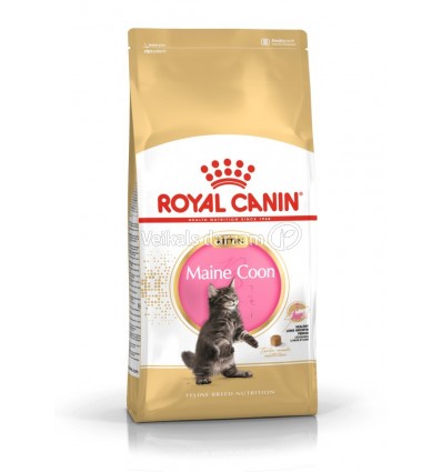 ROYAL CANIN FBN 2KG KITTEN MAINE COON KAĶĒNIEM