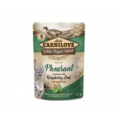 CARNILOVE PHEASANT RASPBERRY LEAVES 85G KAĶIEM