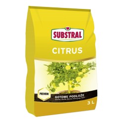 CITRONKOKU AUGSNE 3 L