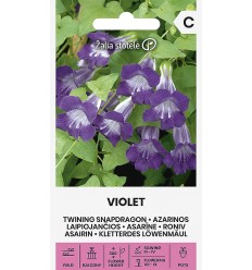 ASARĪNE VIOLET