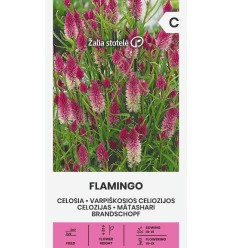 CELOZIJAS FLAMINGO