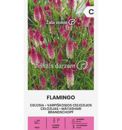 CELOZIJAS FLAMINGO