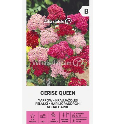 PELAŠĶI CERISE QUEEN