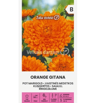 KLIŅĢERĪTES ORANGE GITANA