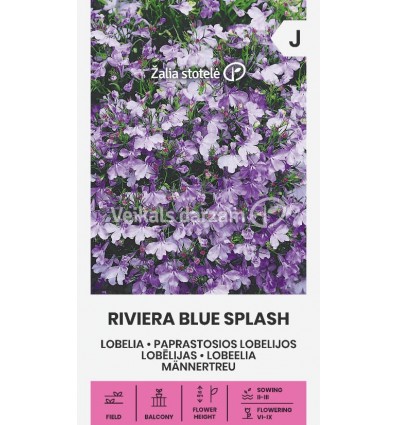 LOBĒLIJAS RIVIERA BLUE SPLASH