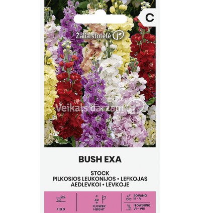 LEFKOJAS BUSH EXA