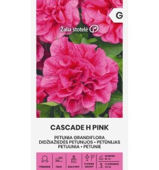 PETŪNIJAS CASCADE H PINK