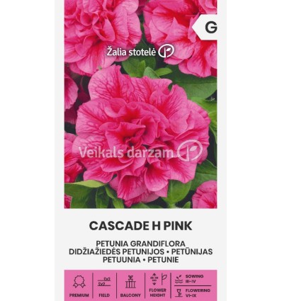 PETŪNIJAS CASCADE H PINK