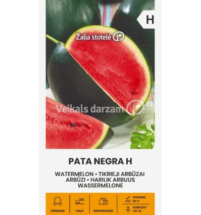 ARBŪZI PATA NEGRA H