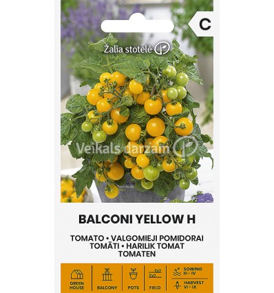 TOMĀTI BALCONI YELLOW H