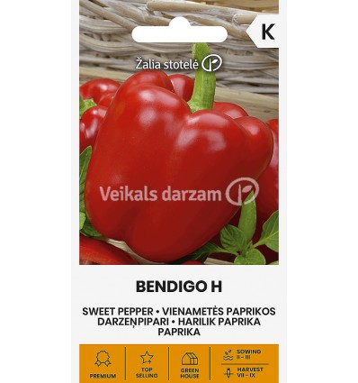 DARZEŅPIPARI BENDIGO H