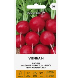 REDĪSI VIENNA H