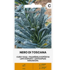 LAPU KĀPOSTI NERO DI TOSCANA