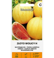 ARBŪZI ZŁOTO WOLICY H