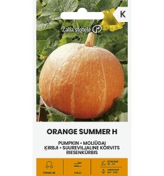 ĶIRBJI ORANGE SUMMER H