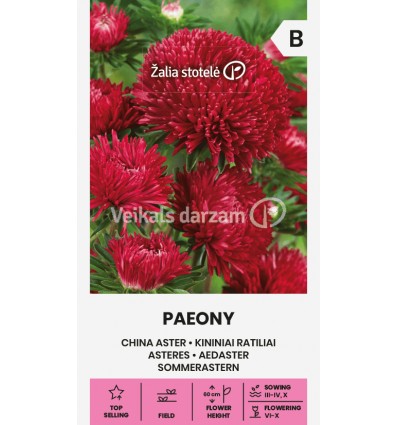 APAĻAS ĶĪNAS PAEONY