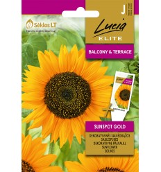 SAULESPUĶES SUNSPOT GOLD