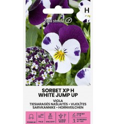 VIJOLÎTES SORBET XP H WHITE JUMP UP