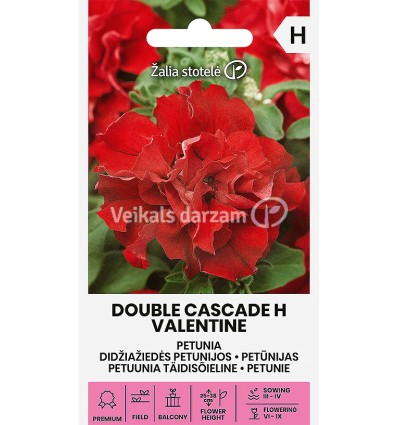 PETŪNIJAS DOUBLE CASCADE H VALENTINE