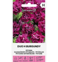 PETŪNIJAS DOUBLE DUO H BURGUNDY