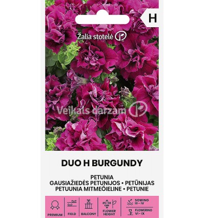 PETŪNIJAS DOUBLE DUO H BURGUNDY