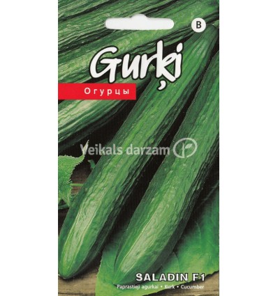 GURĶI SALADIN F1