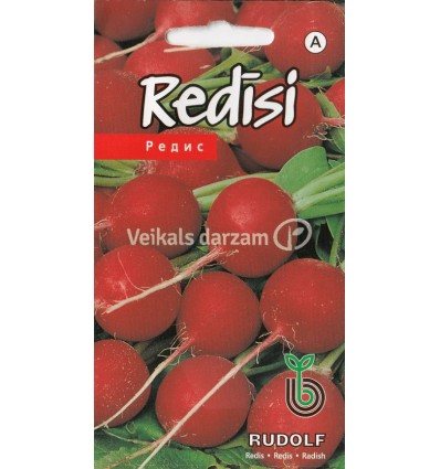 REDĪSI RUDOLF