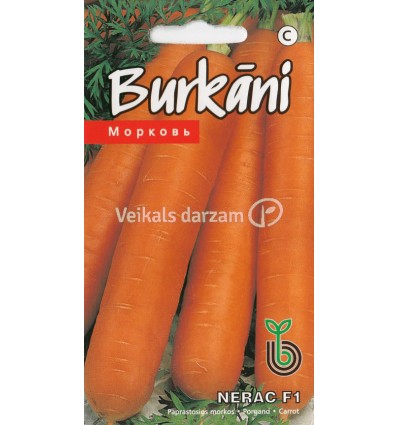 BURKĀNI NERAC F1