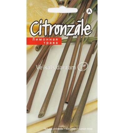 CITRONZĀLE