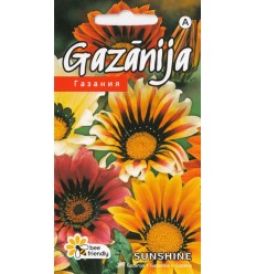 GAZĀNIJA SUNSHINE