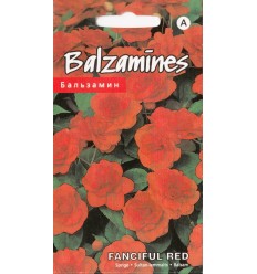 BALZAMĪNES FUNCIFUL RED